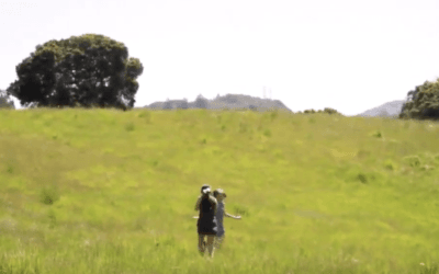 The Girl in the Grass offers sensitive look back