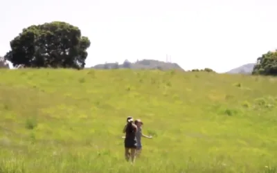 The Girl in the Grass offers sensitive look back